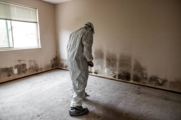 Nashua, IA Mold Remediation Company